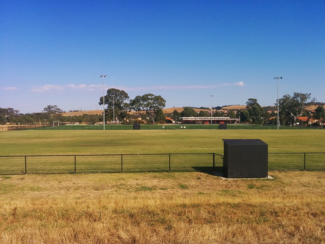 Open playing field at Hillview Recreation Reserve