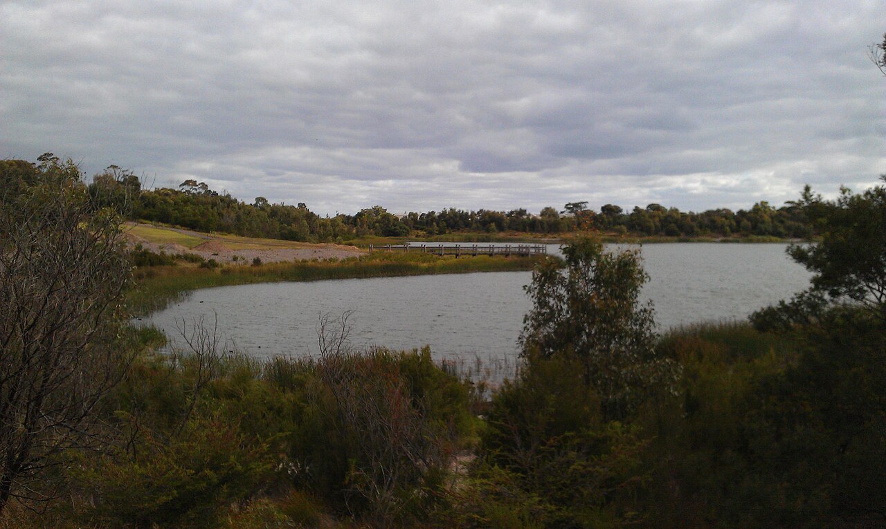 Wetland lake ringed by bushland in Karkarook Park