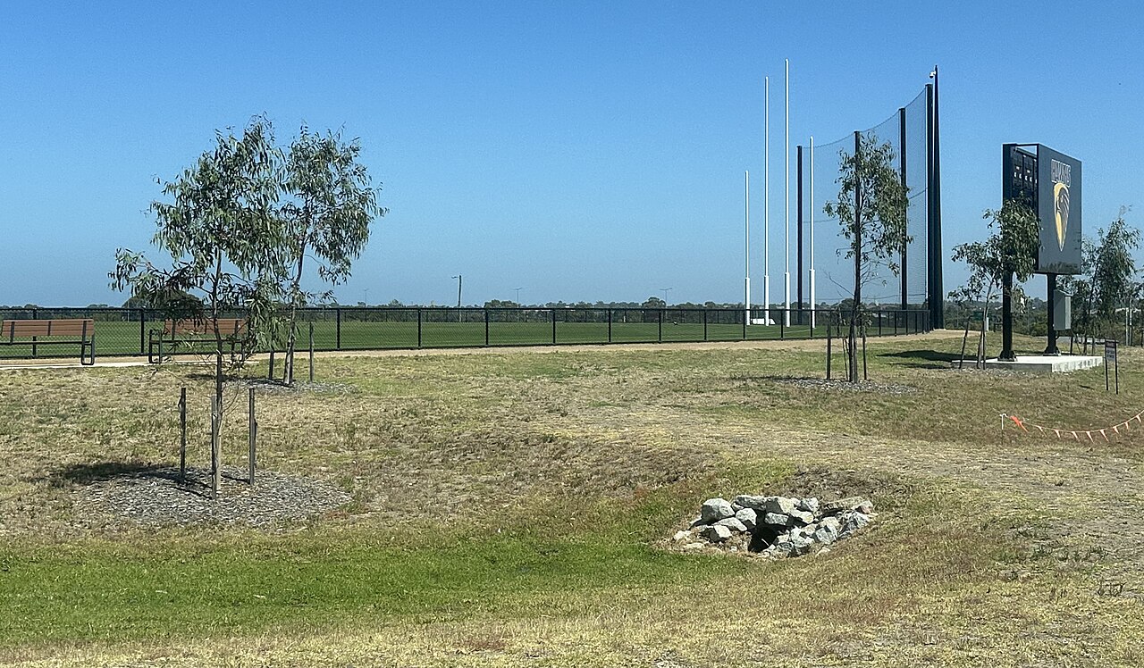 Grassed open space with young trees and fencing