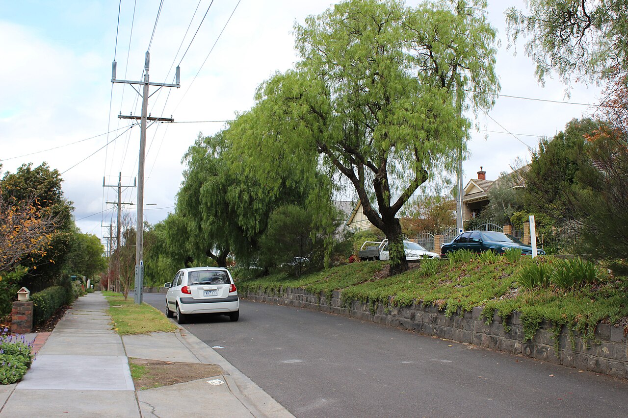 Kellett Grove, Kew East, with willow trees along the street