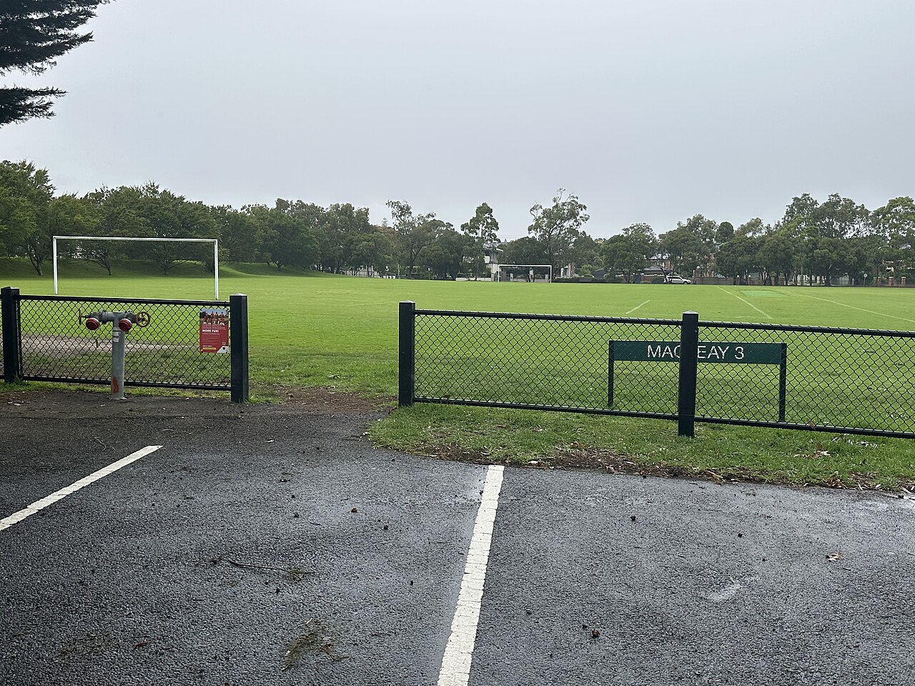 Playing field at Macleay Park