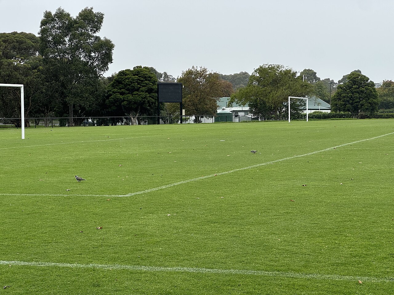 Soccer pitch in Macleay Park