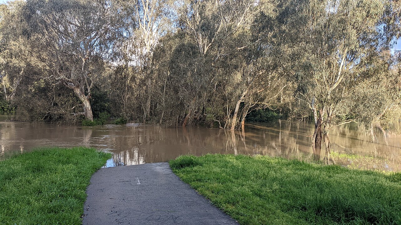 Main Yarra Trail underwater during a flood