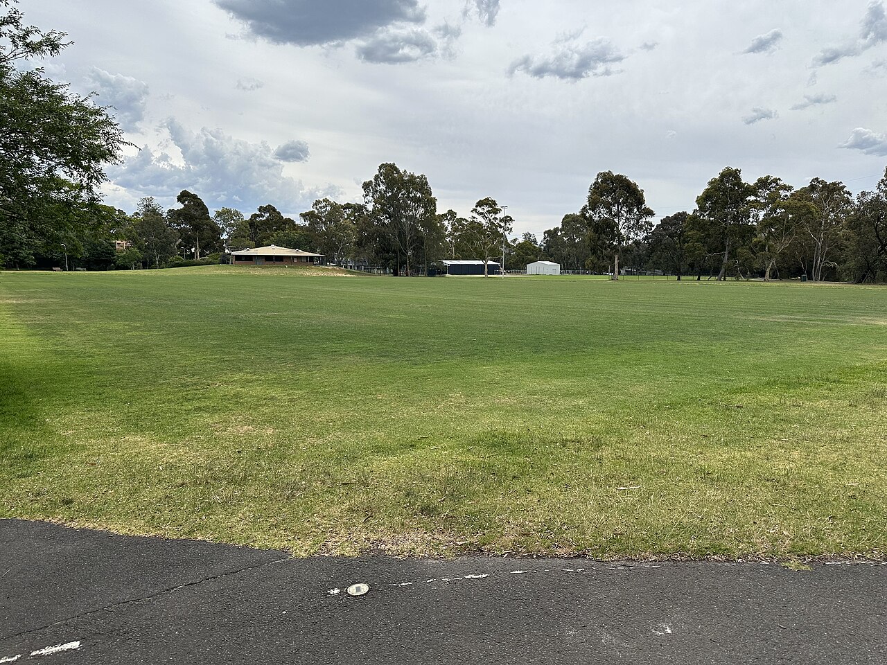 Wide grassed field at McAlpine Oval