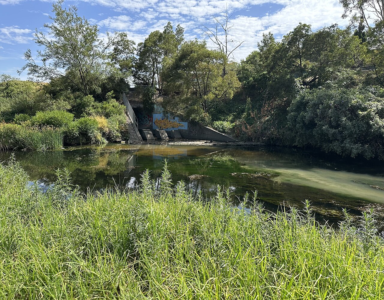 Merri Creek