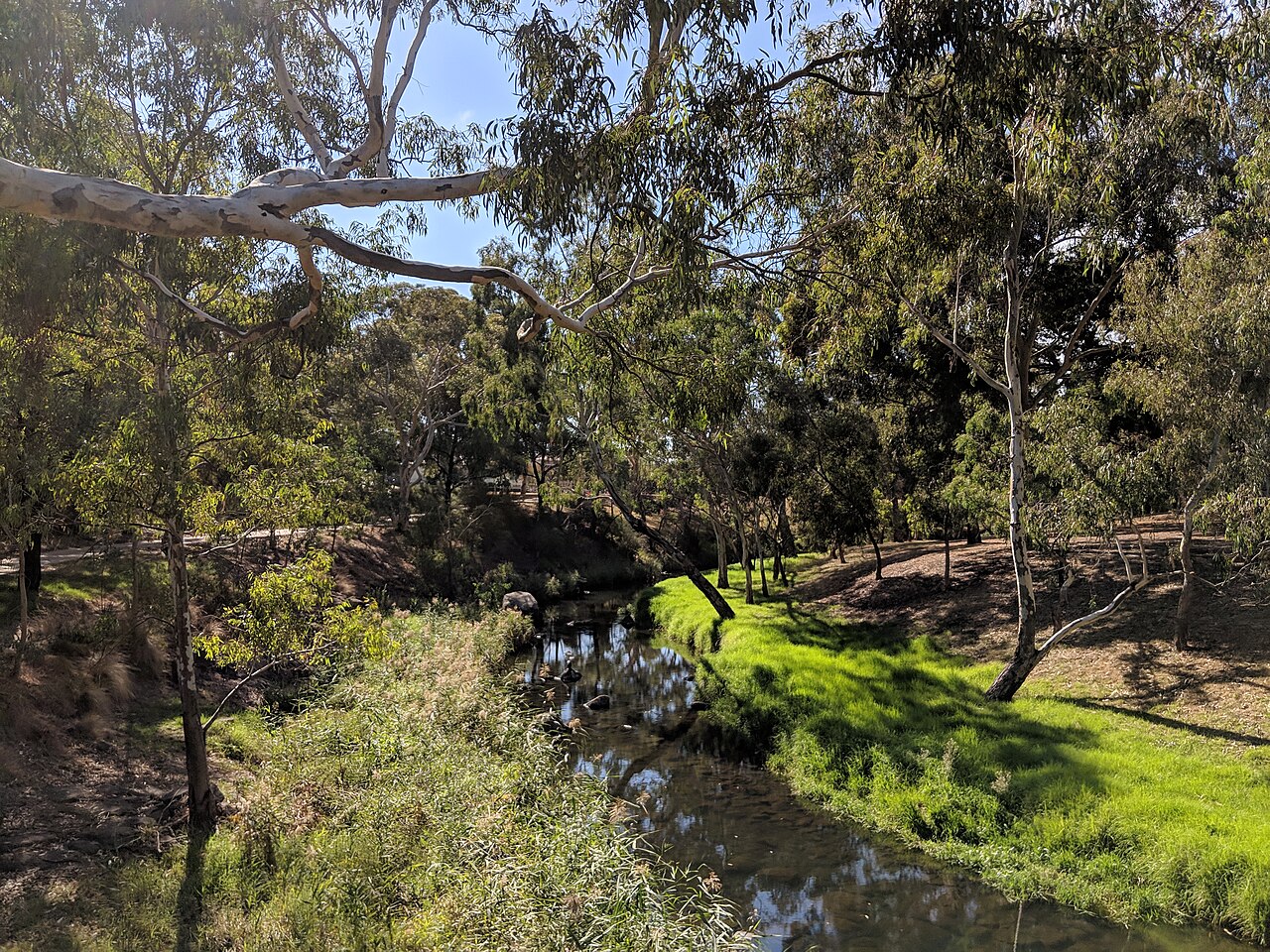 Merri Creek flowing through green banks at Coburg Lake Reserve