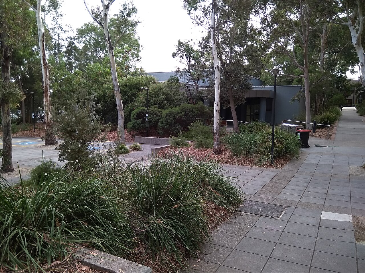 Paved courtyard and native plantings at Monash University Peninsula Campus