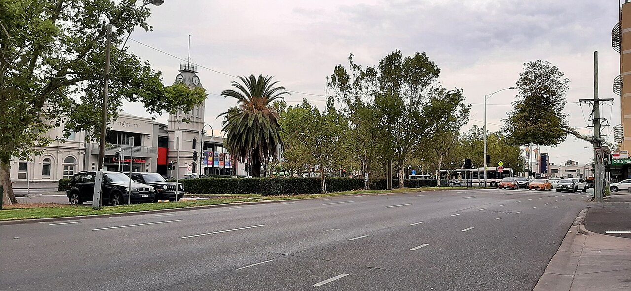 Mount Alexander Road with palm trees and a clock tower