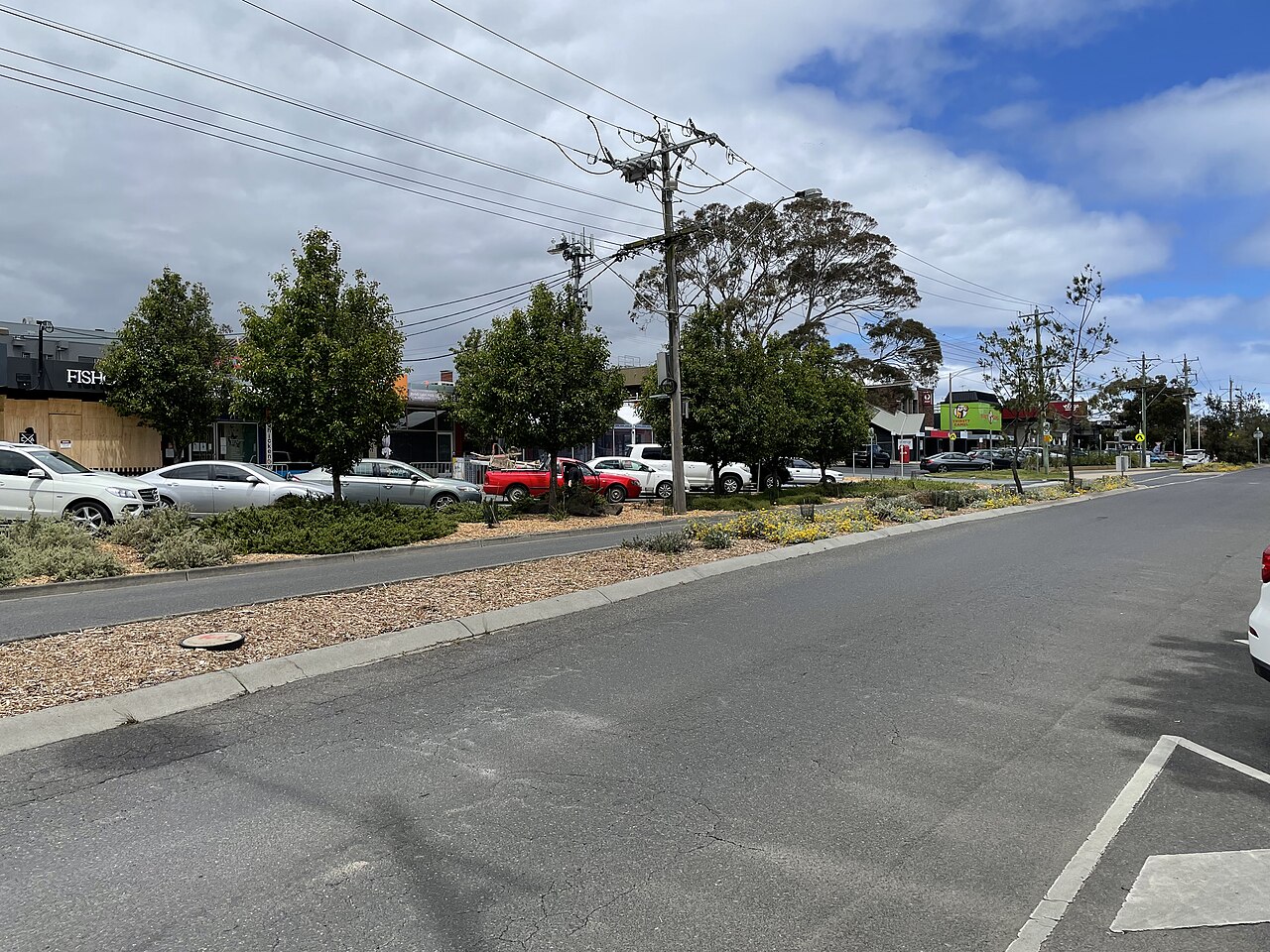 Mount Eliza Way streetscape with shops and parked cars