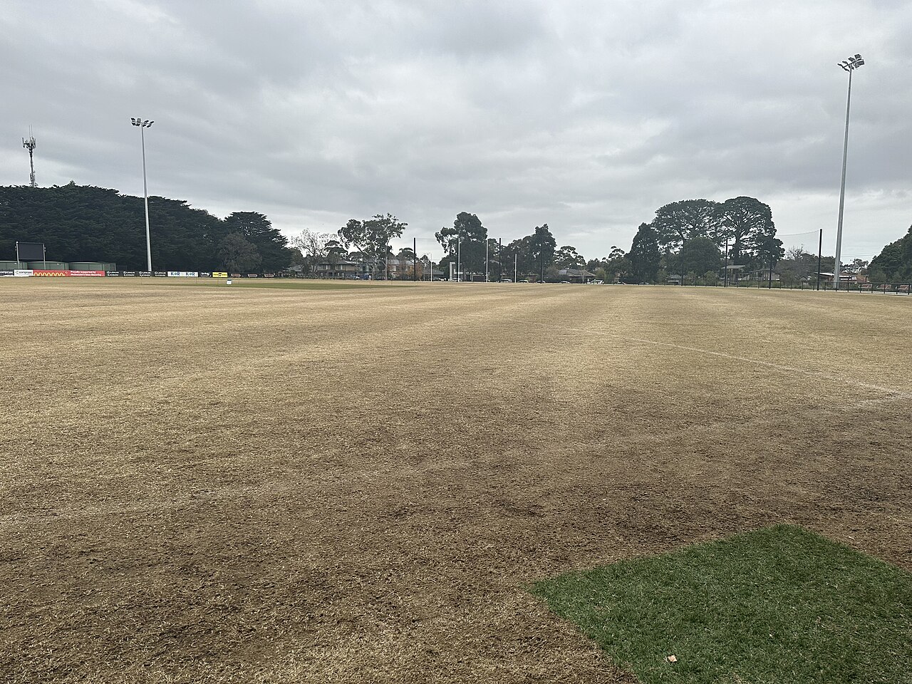 Wide grassed oval at Mount Waverley Reserve