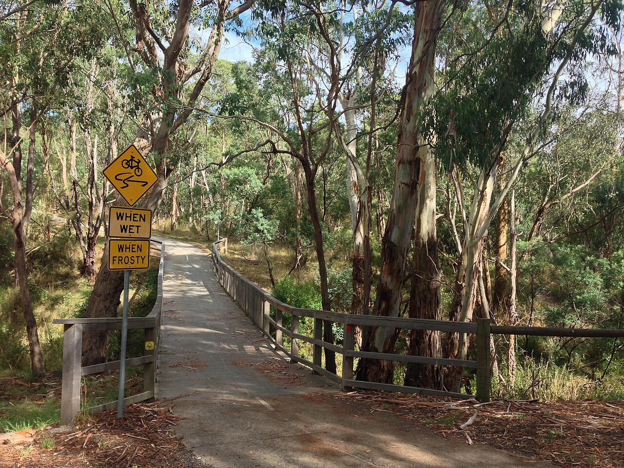 Mullum Mullum Trail through eucalypt bushland, Mitcham