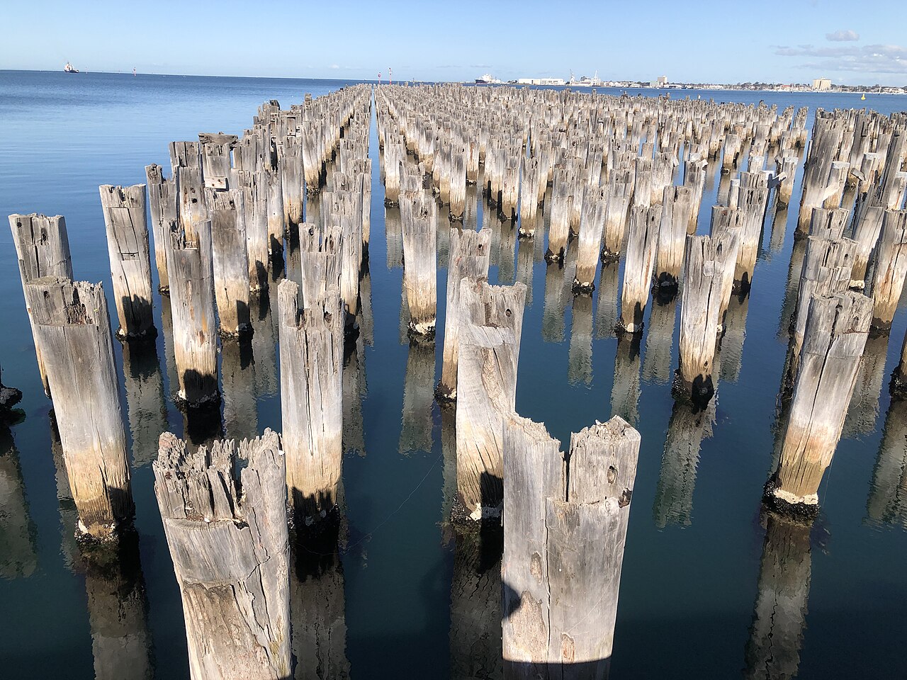 Old pier piles at Princes Pier under a blue sky