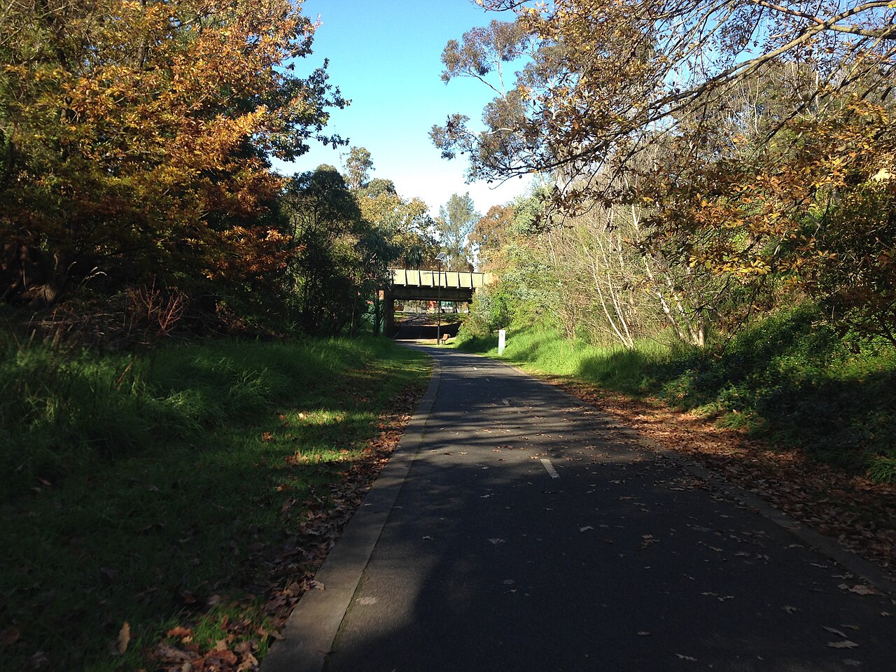 Outer Circle Trail approaching Rubens Grove under autumn trees