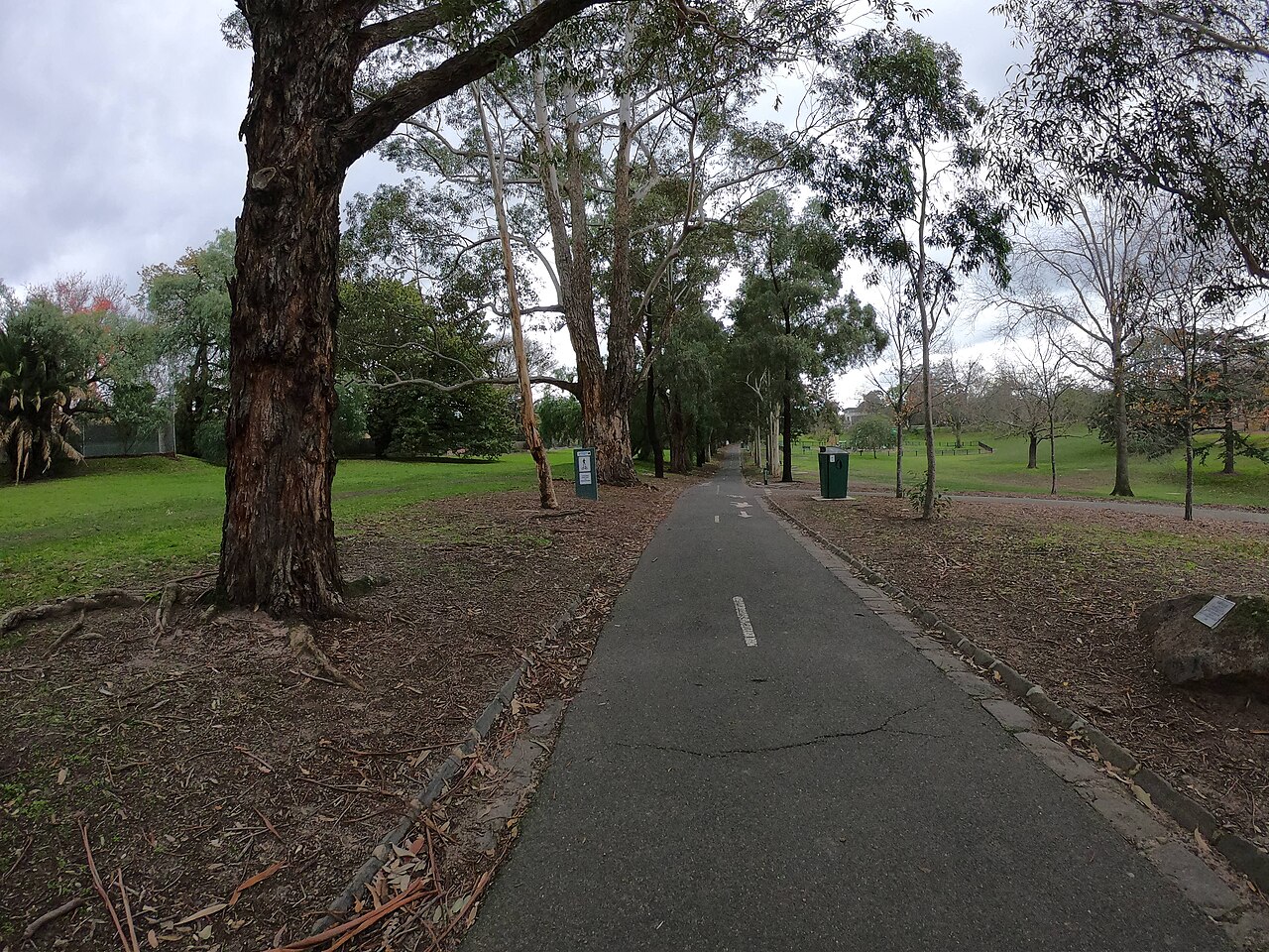 Outer Circle Trail in Boroondara Park