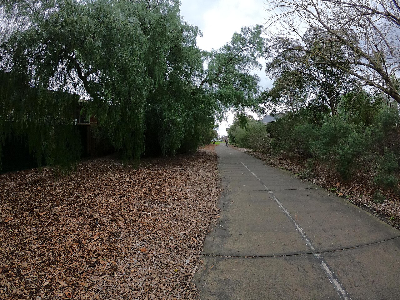 Outer Circle Trail lined with trees near Gordon Street