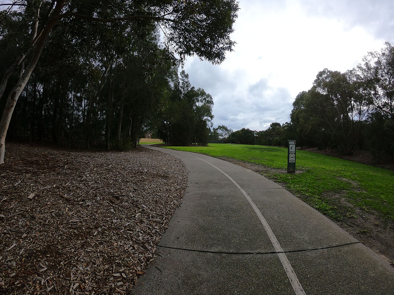 Outer Circle Trail curving through bushland near Normanby Road