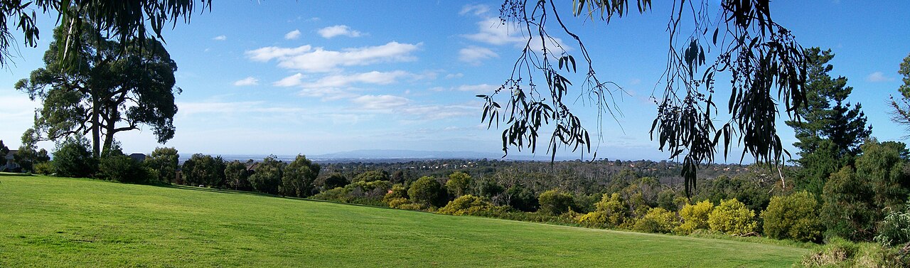 Grassy hilltop with treetop views at Overport Park, Frankston South