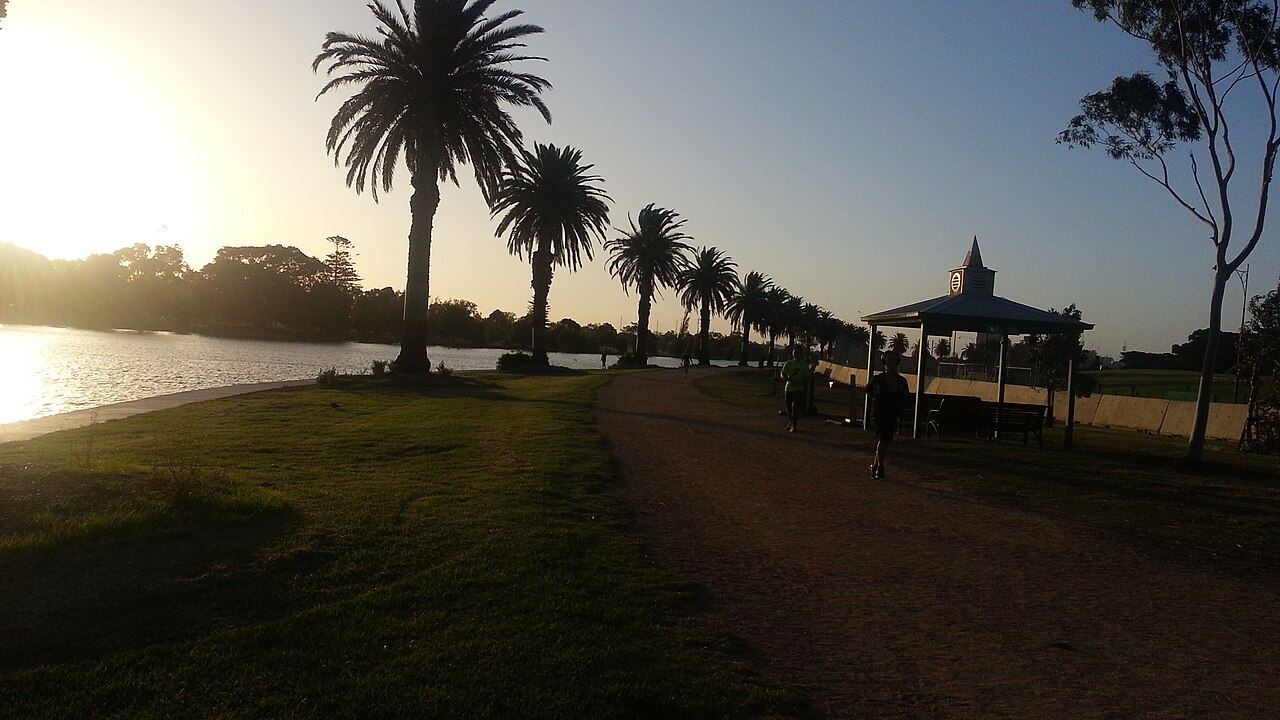 Palm trees silhouetted by the water at Albert Park