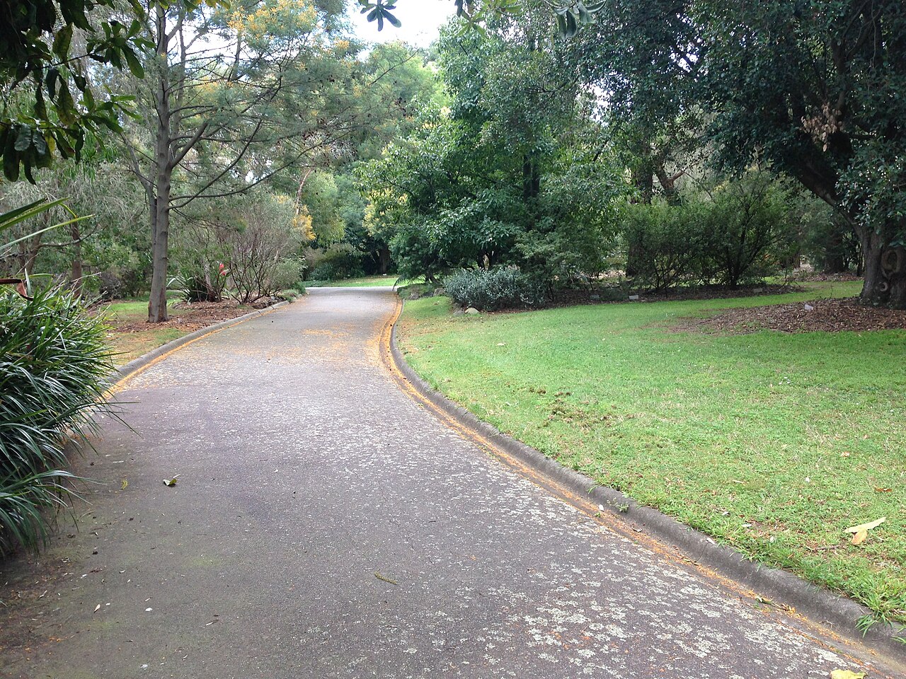 Path in Maranoa Gardens, Balwyn