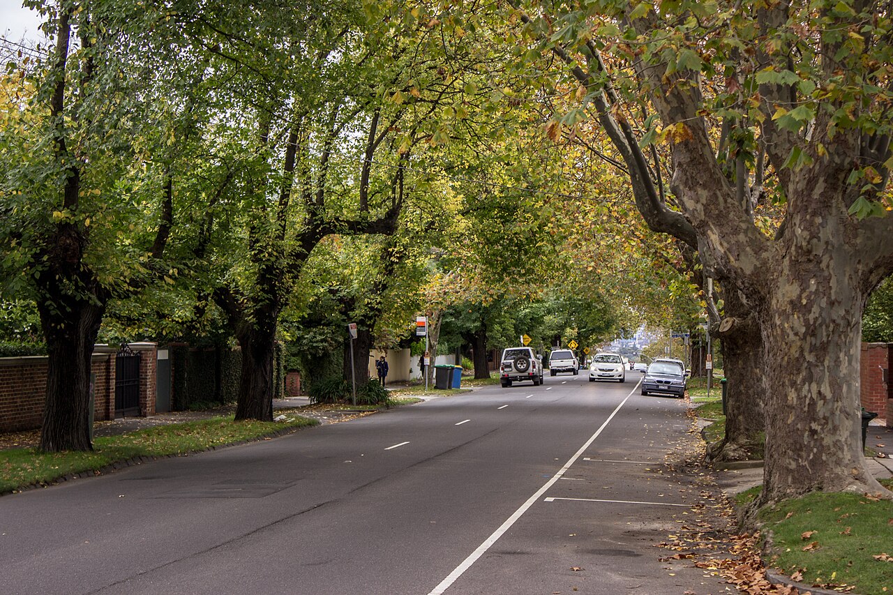 Prospect Hill Road lined with autumn trees