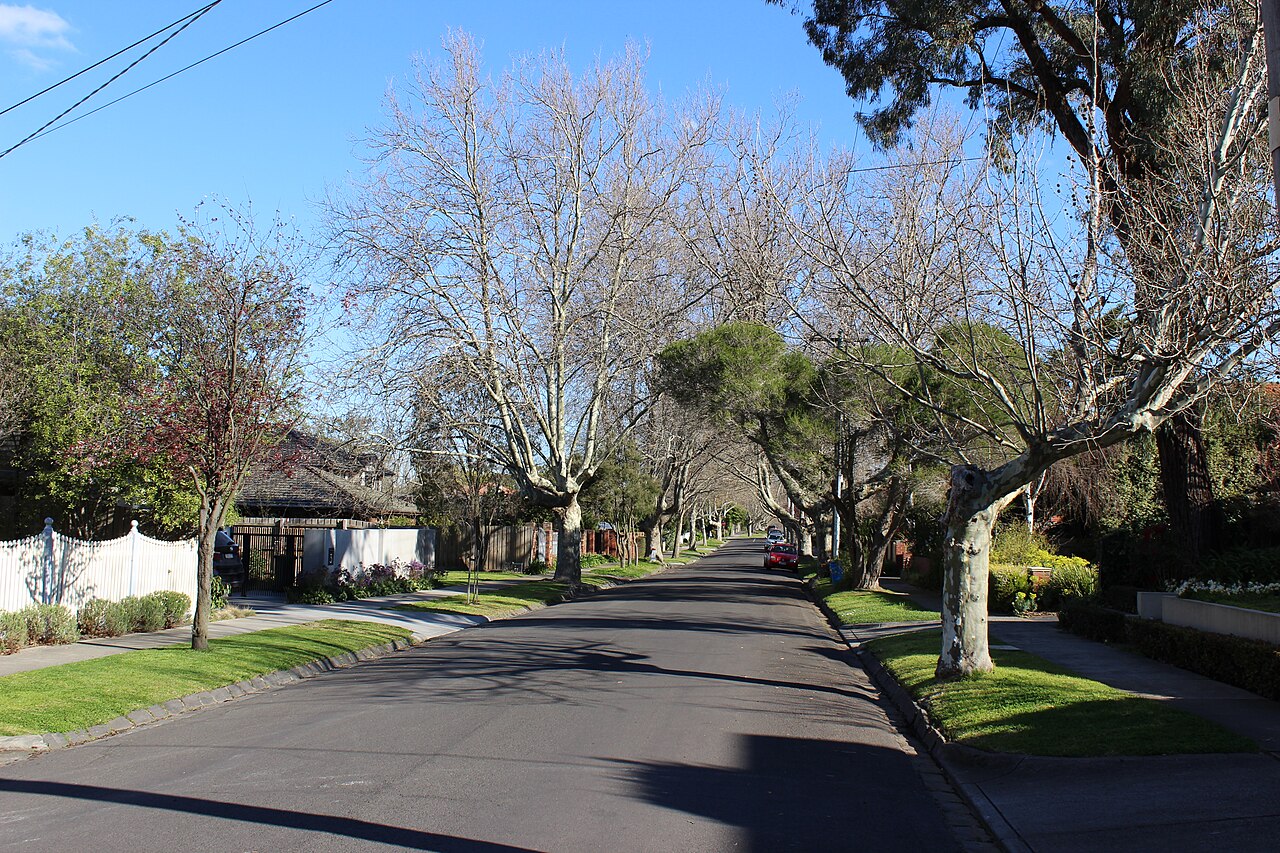 Radnor Street, Camberwell, a tree-lined residential street