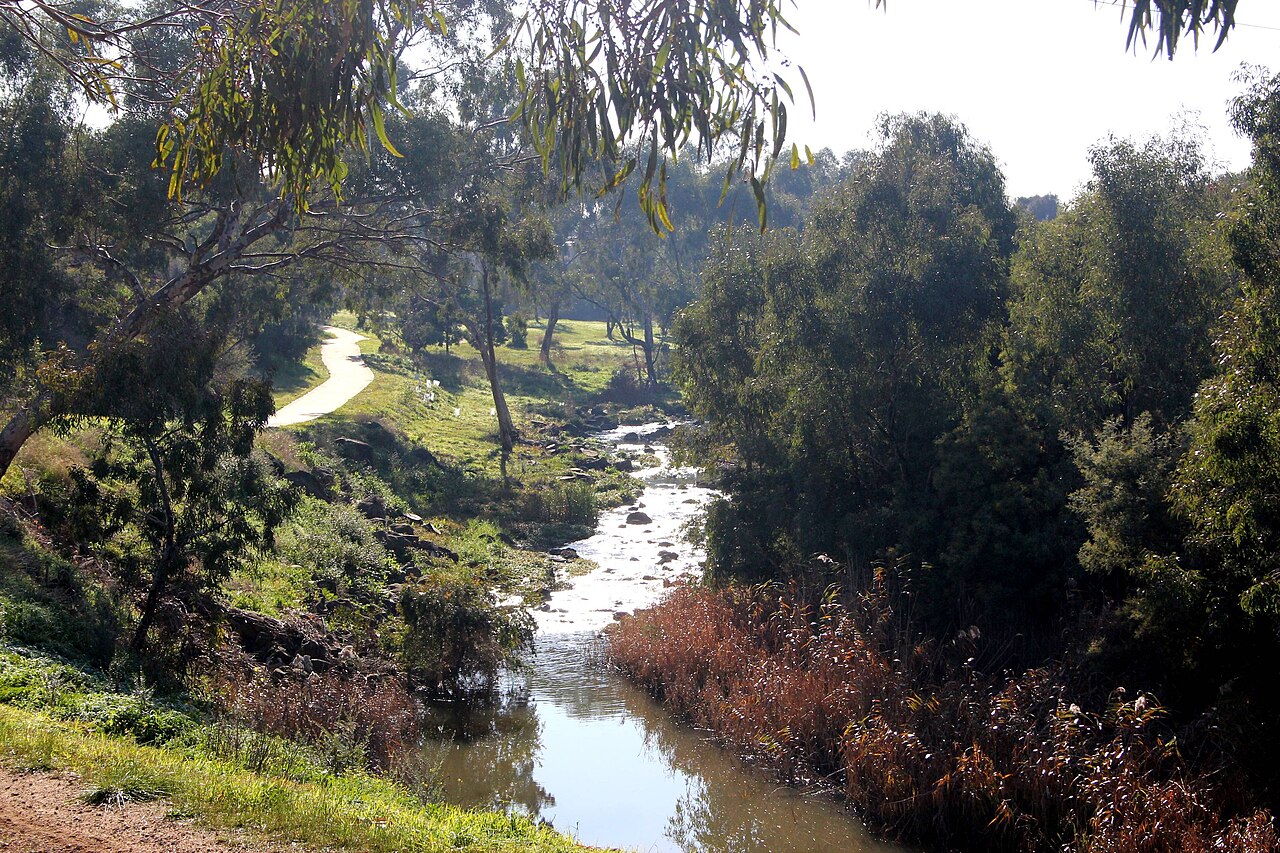 Rapids on Merri Creek in Fawkner