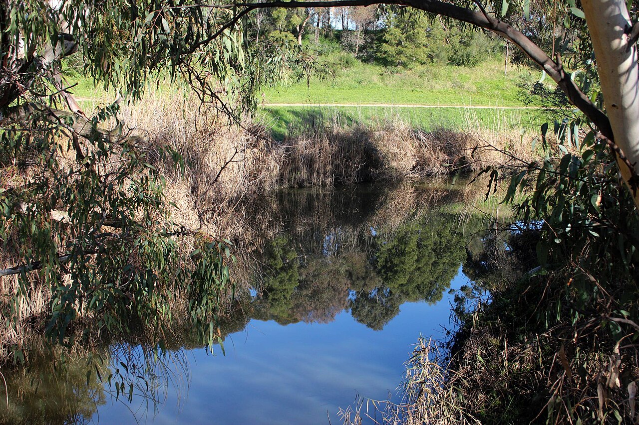 Apartment Living in Lalor 2026: What You Need to Know