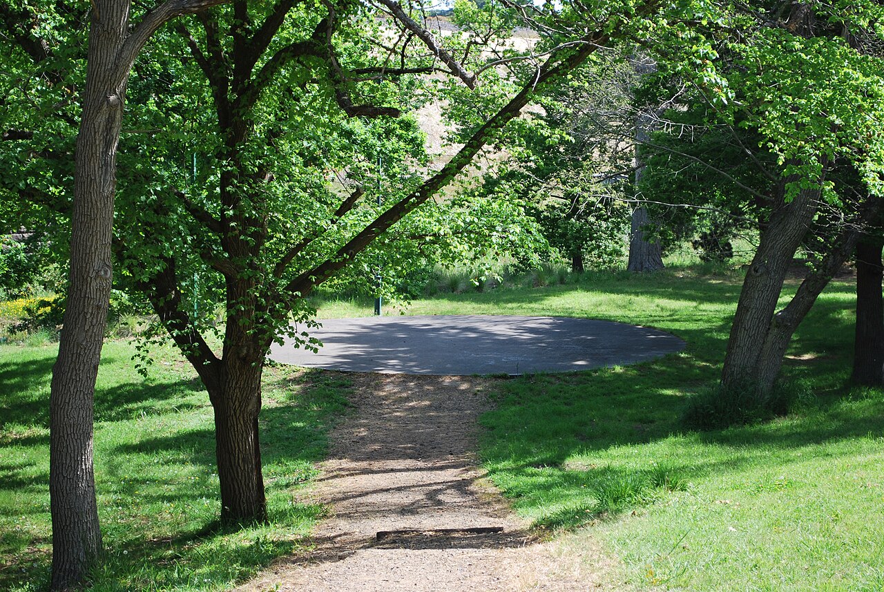 Path under trees in Walter J Smith Reserve, Riddells Creek