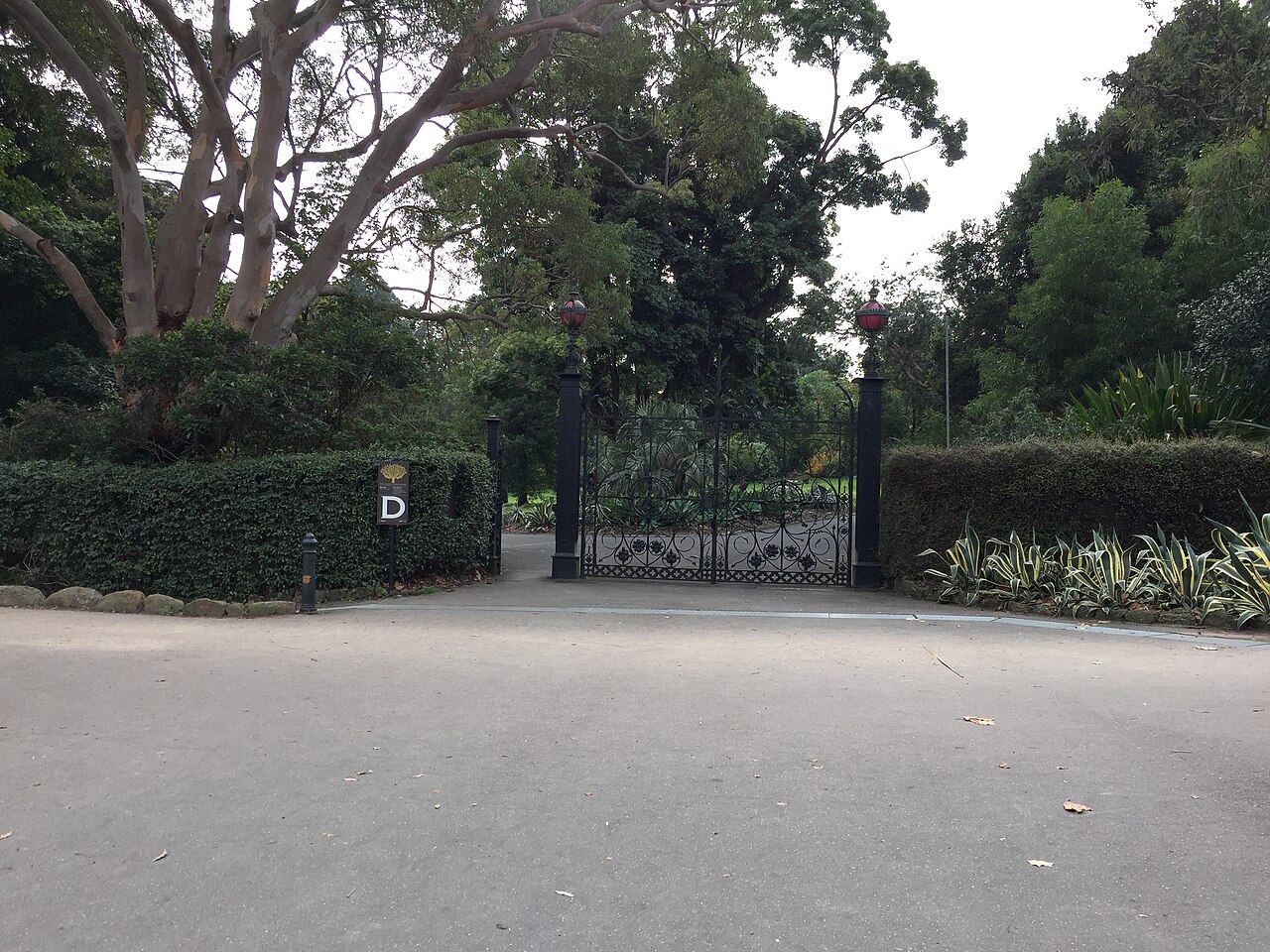 Gates and path at the Royal Botanic Gardens
