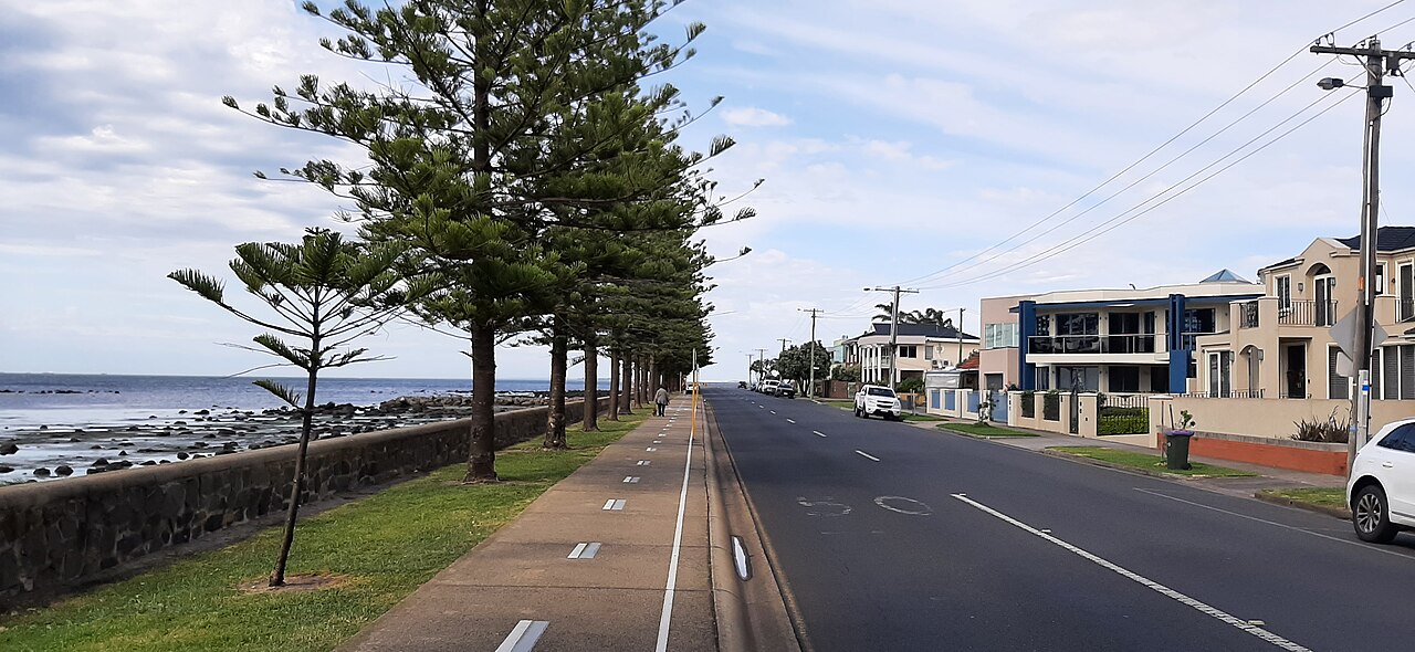 Seaholme road beside the foreshore with pine trees