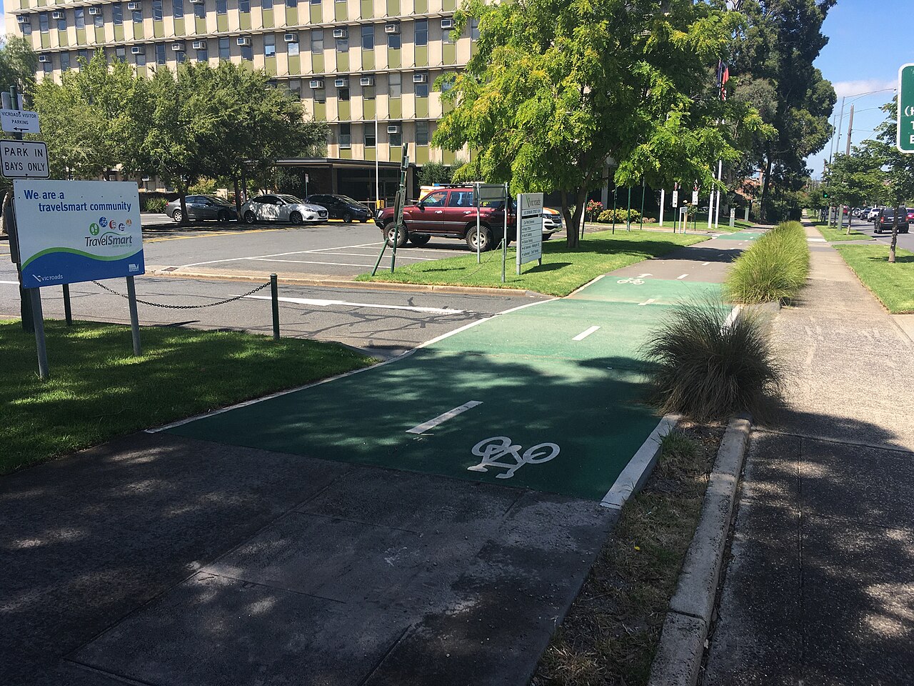 Separated green bicycle path beside a tree-lined road