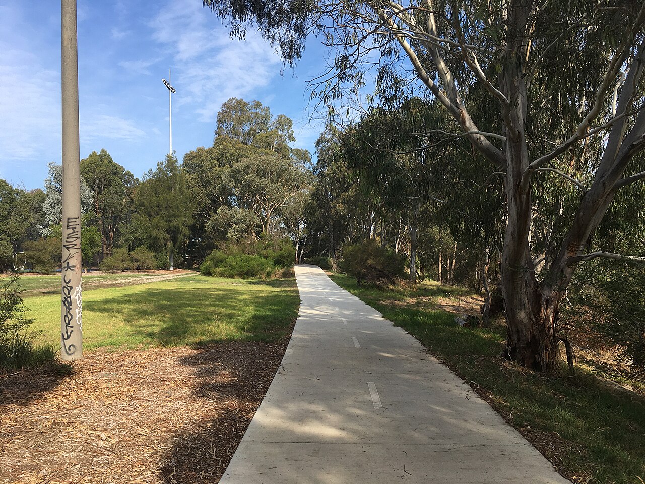 Shared path connection to the Darebin Creek Trail among gum trees