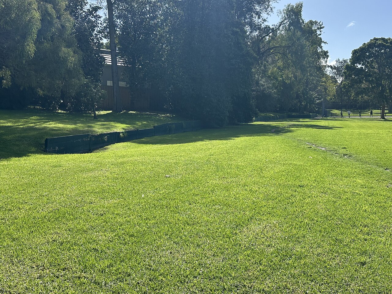 Grass and trees at the Shenley railway station site