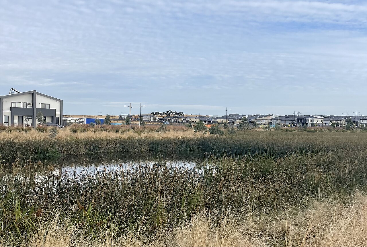 Skeleton Creek Wetlands with reeds and new houses beyond