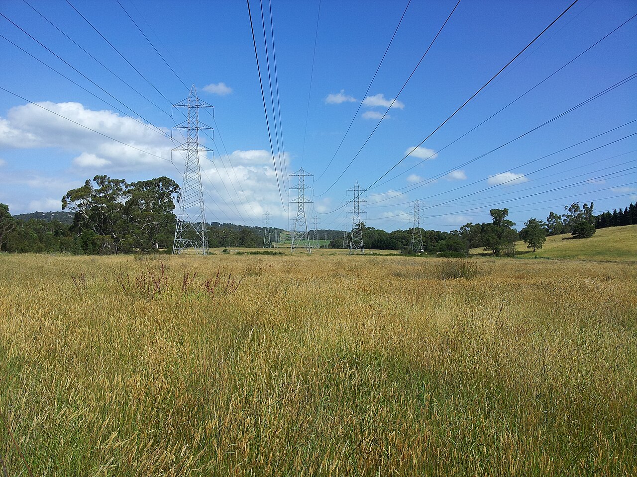 Open grassy paddock beneath high-voltage power lines