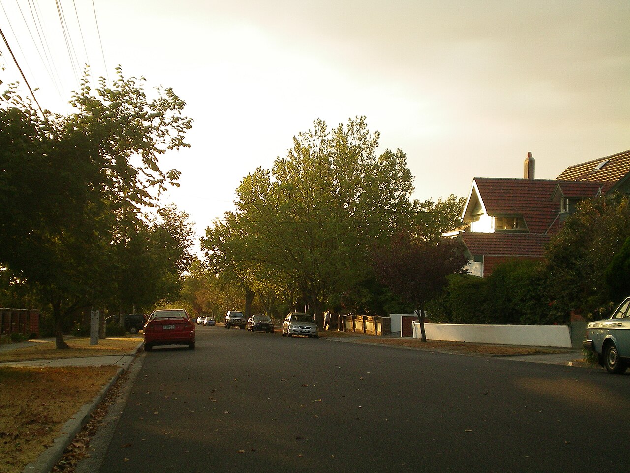 Leafy residential street in Eaglemont
