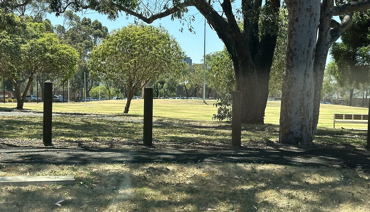 Trees and lawn at Surrey Park Reserve