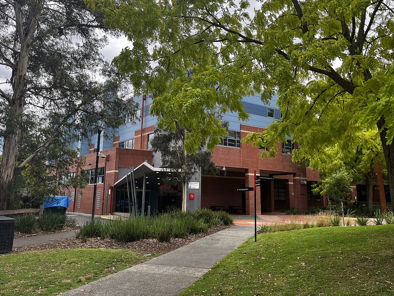 Tree-lined path on the Swinburne University of Technology campus
