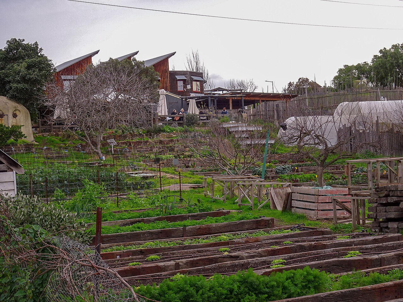 Terraced vegetable garden beds below brick buildings