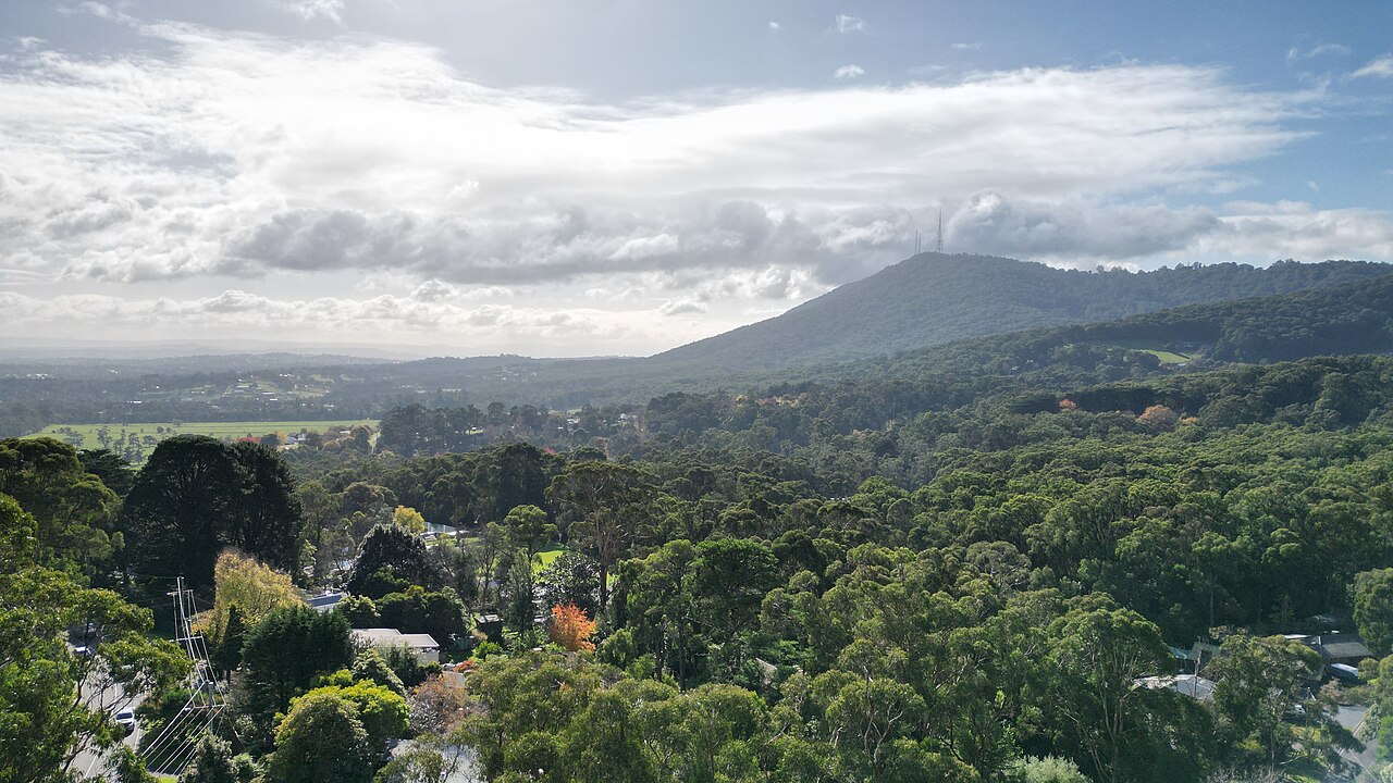View over forested hills at The Basin towards the mountains