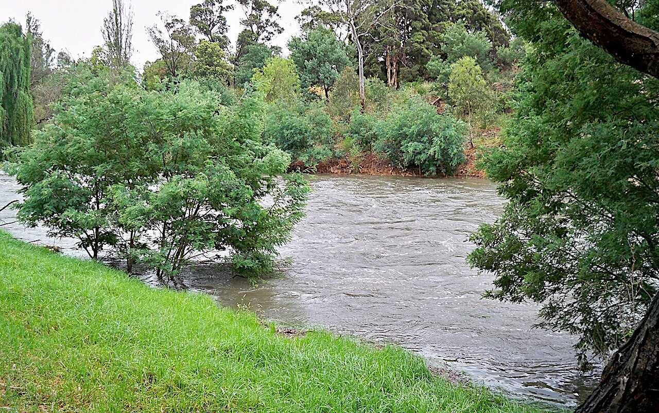 The Yarra River in flood