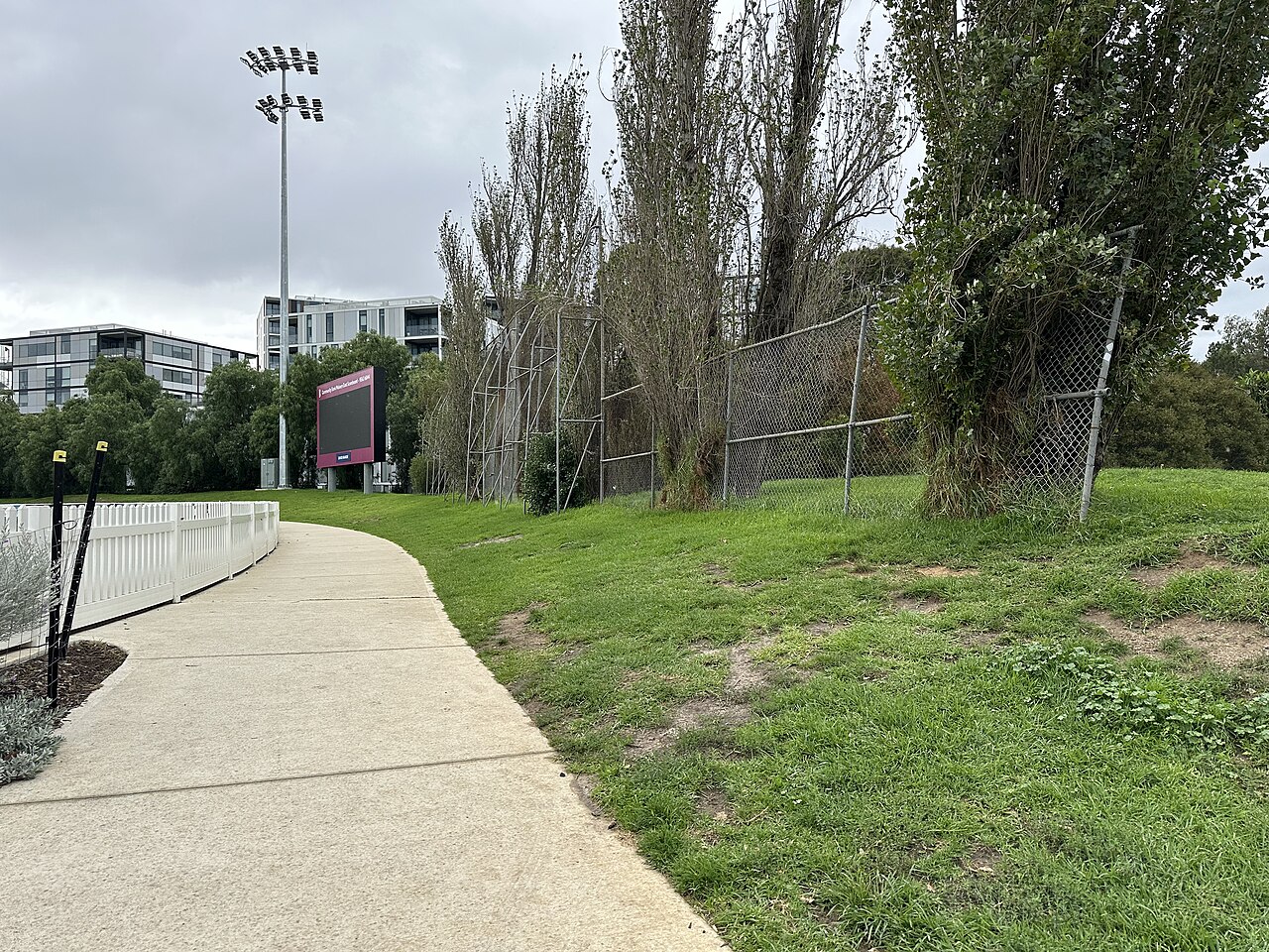 Path and lawn at Toorak Park