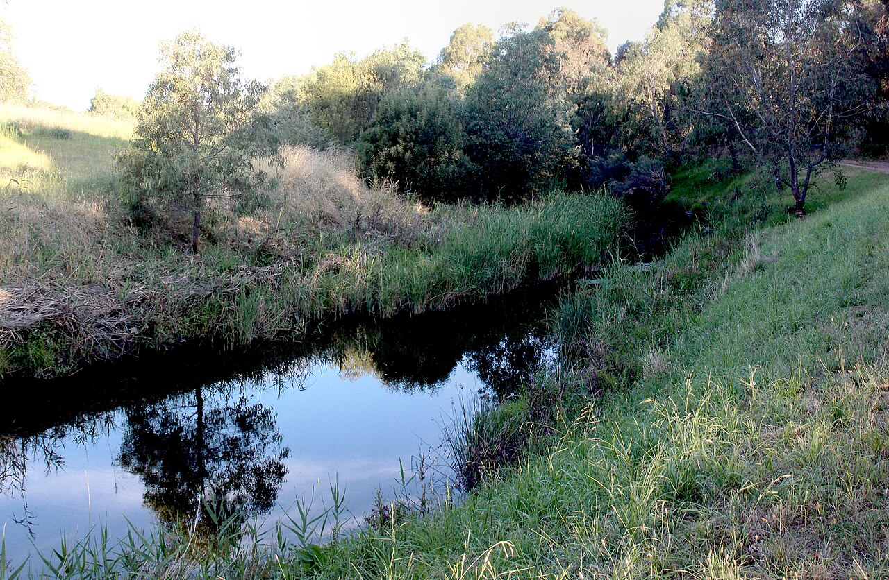 Trees reflected in a quiet creek with grassy banks