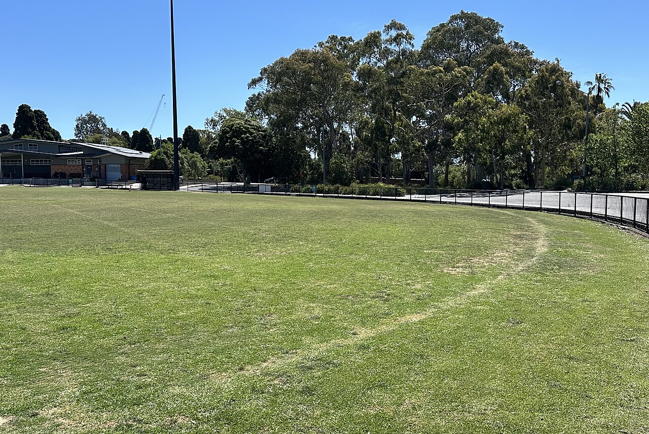 Open grassed oval ringed by trees at Victoria Park