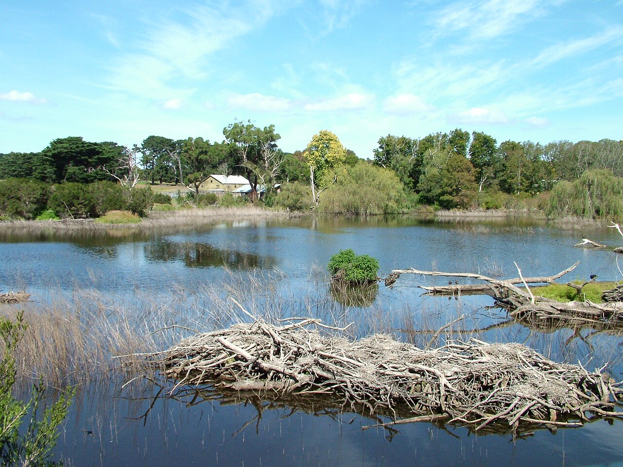 View across the wetlands at Coolart homestead