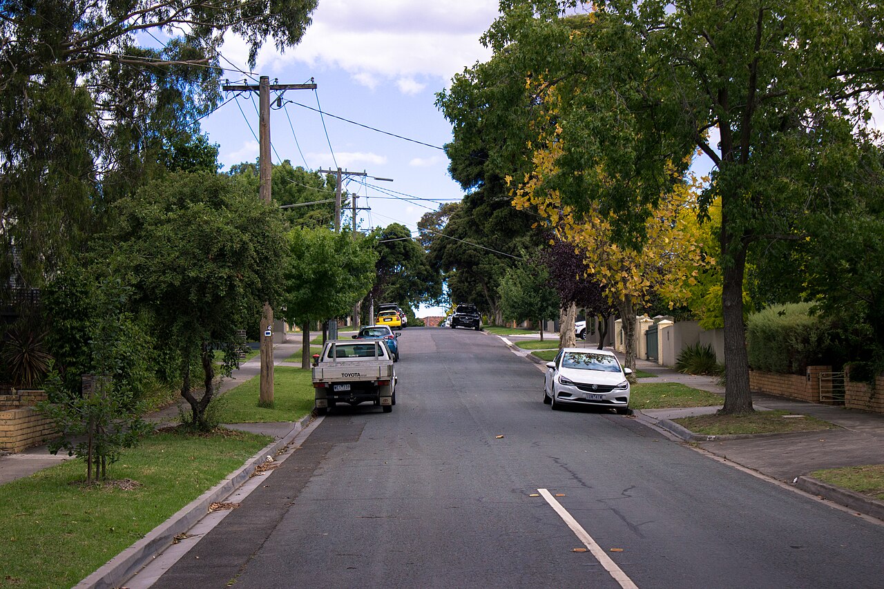 Tree-lined White Avenue, Kew East
