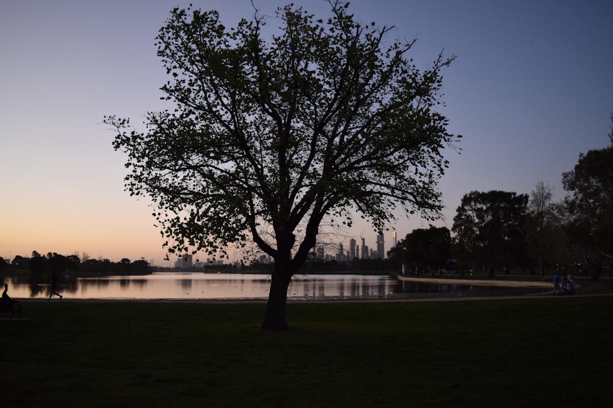 Parkville vs Fitzroy for Young Pros — Data-Driven Showdown 2026