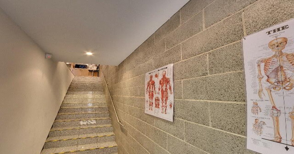 Best Cocktail Bars in Cremorne — 2026 Guide