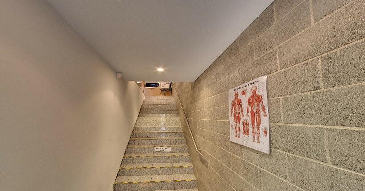 Best Italian Food in Cremorne — 2026 Guide