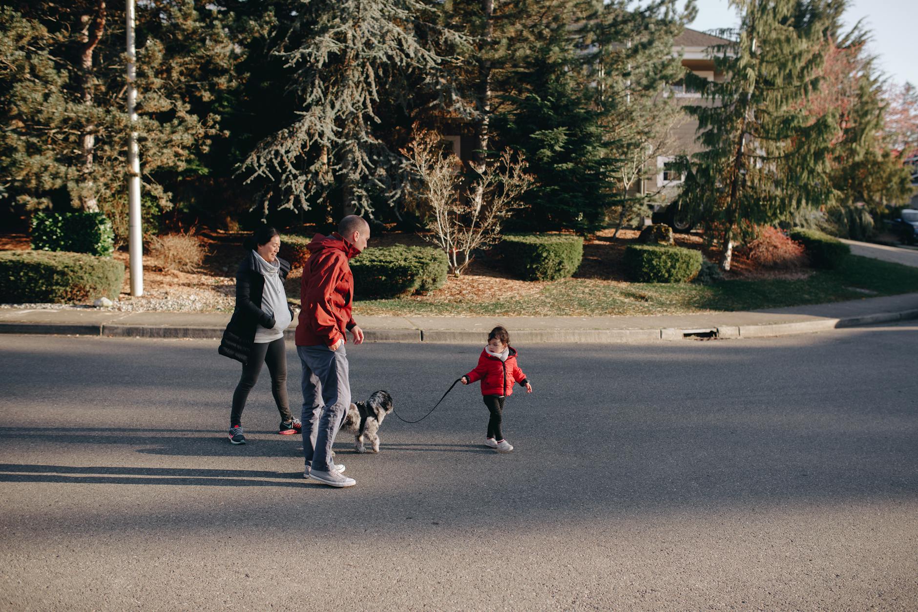 Cremorne Neighbourhood Guide — 2026 Local Guide